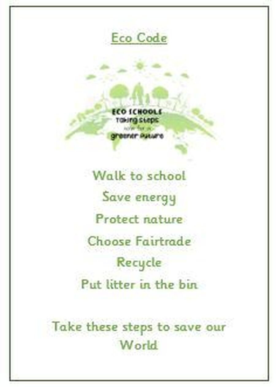 Eco Schools : Diamond Wood Community Academy